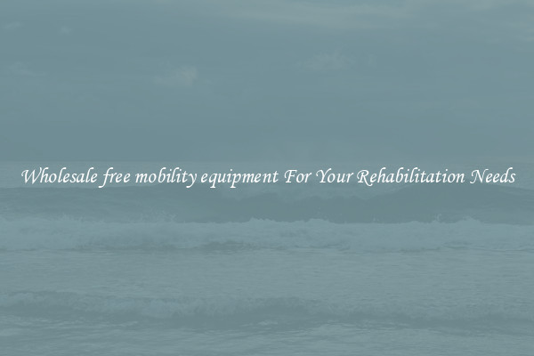 Wholesale free mobility equipment For Your Rehabilitation Needs