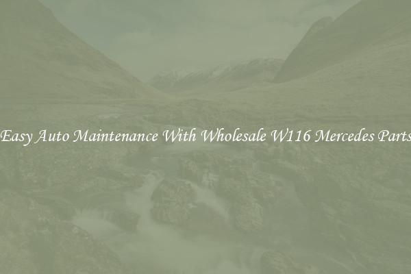 Easy Auto Maintenance With Wholesale W116 Mercedes Parts