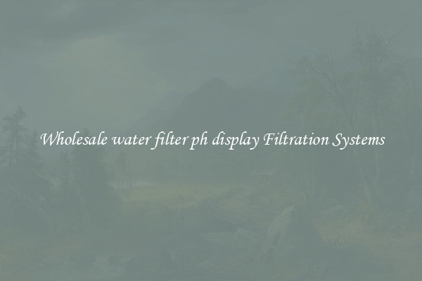 Wholesale water filter ph display Filtration Systems