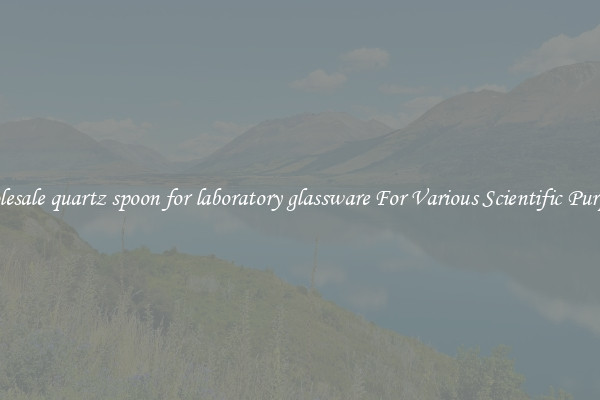 Wholesale quartz spoon for laboratory glassware For Various Scientific Purposes