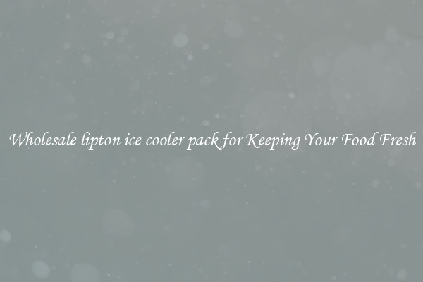Wholesale lipton ice cooler pack for Keeping Your Food Fresh