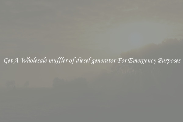 Get A Wholesale muffler of diesel generator For Emergency Purposes