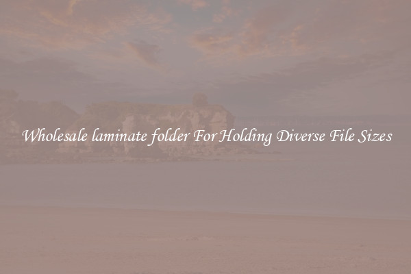 Wholesale laminate folder For Holding Diverse File Sizes