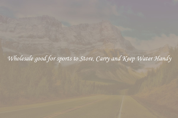 Wholesale good for sports to Store, Carry and Keep Water Handy