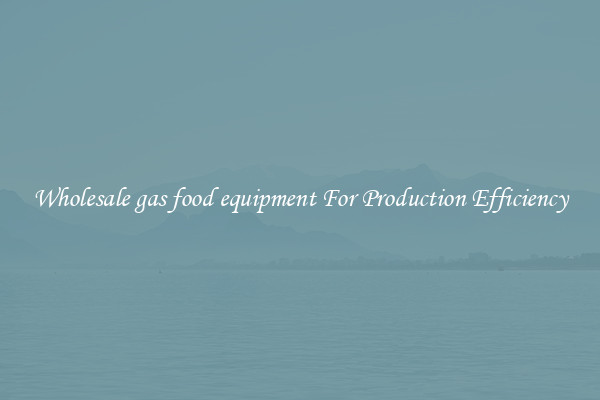 Wholesale gas food equipment For Production Efficiency