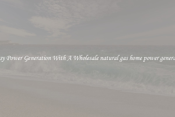 Easy Power Generation With A Wholesale natural gas home power generator