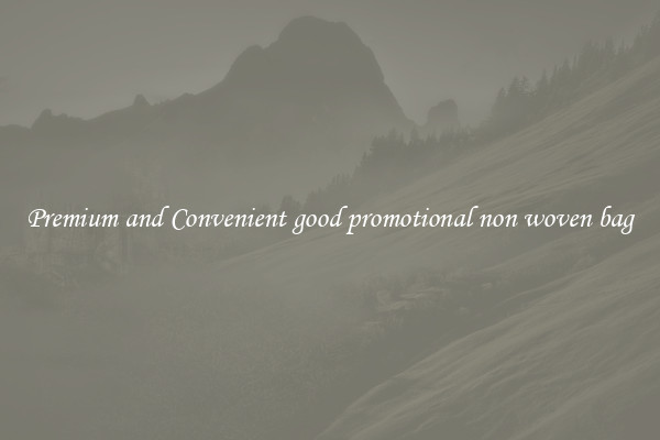 Premium and Convenient good promotional non woven bag