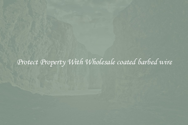 Protect Property With Wholesale coated barbed wire