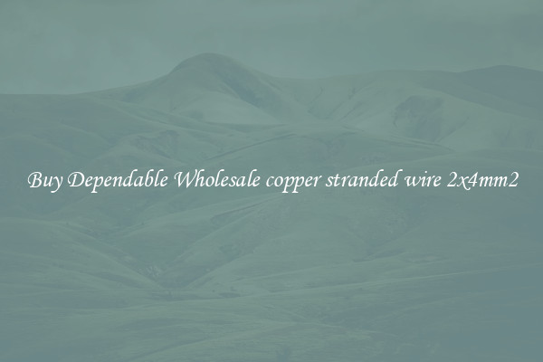 Buy Dependable Wholesale copper stranded wire 2x4mm2