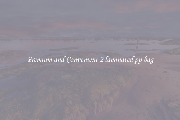 Premium and Convenient 2 laminated pp bag