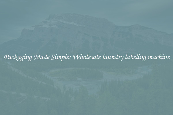 Packaging Made Simple: Wholesale laundry labeling machine