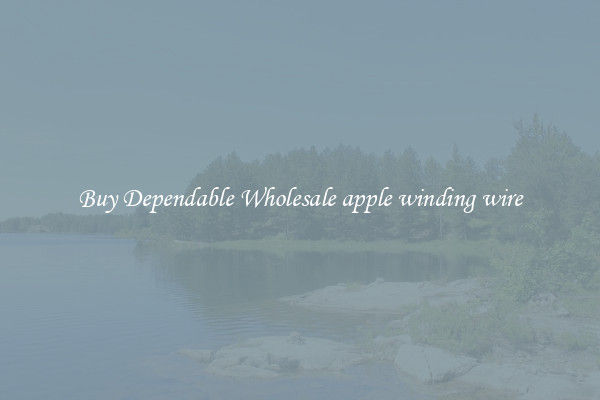 Buy Dependable Wholesale apple winding wire