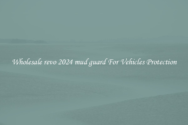 Wholesale revo 2024 mud guard For Vehicles Protection
