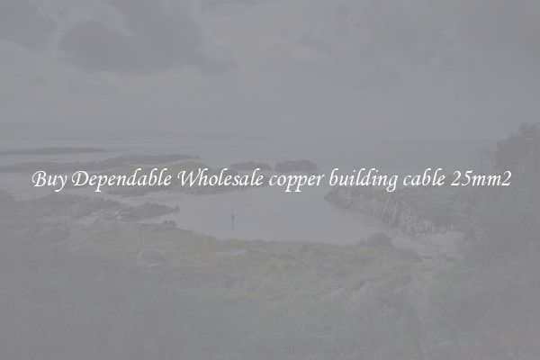 Buy Dependable Wholesale copper building cable 25mm2