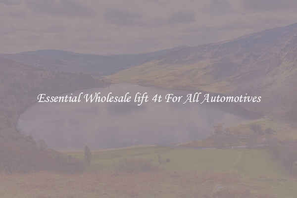 Essential Wholesale lift 4t For All Automotives