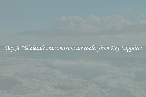 Buy A Wholesale transmission air cooler from Key Suppliers