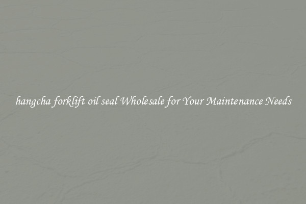 hangcha forklift oil seal Wholesale for Your Maintenance Needs