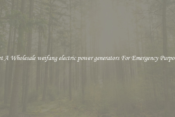 Get A Wholesale weifang electric power generators For Emergency Purposes