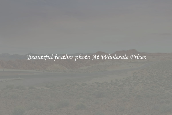 Beautiful feather photo At Wholesale Prices